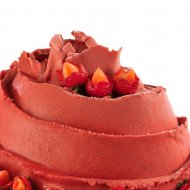 AUMENTADOR DE SÓLIDOS DE HELADO DE FRUTA