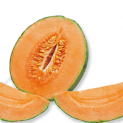 MELON  NEW     MEC3  x5 KG