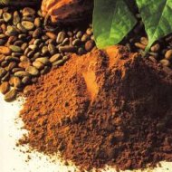 CACAO EN POLVO 22-24%