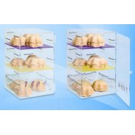 VITRINA TULIPAS 25x25x40